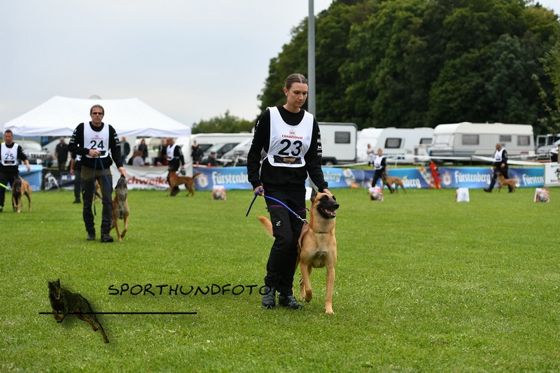 Impressionen 675.jpg